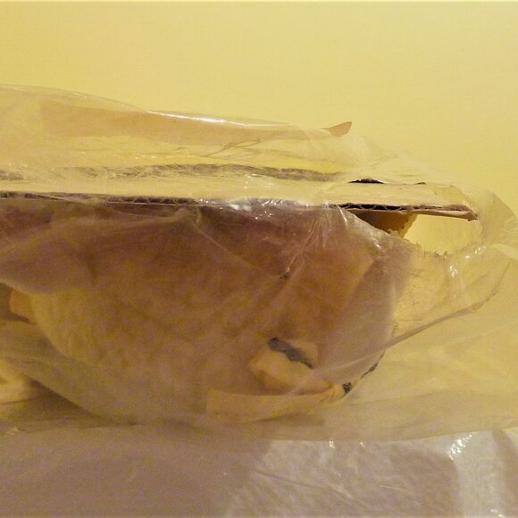 Get Along Gang WOOLMA LAMB 12" Plush Doll vintage TOMY factory sealed 80s TV toy - Picture 8 of 14